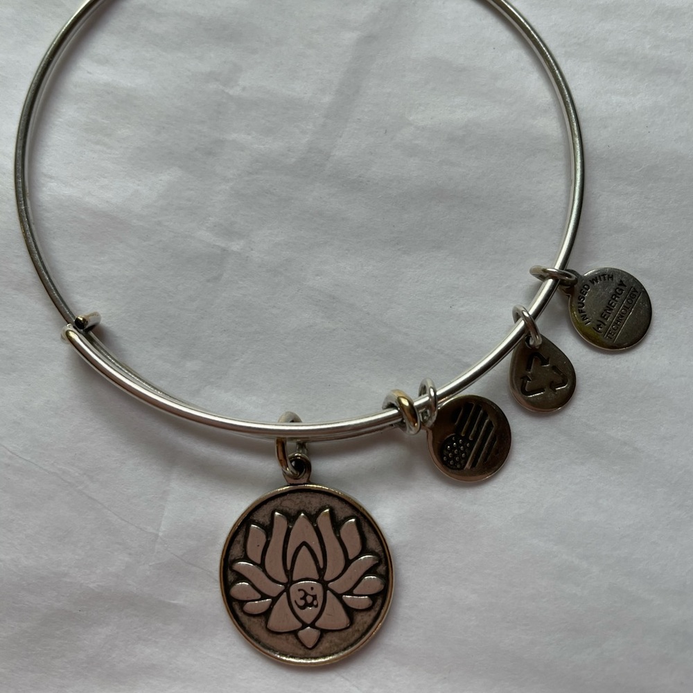 COPY - Alex and Ani bracelet